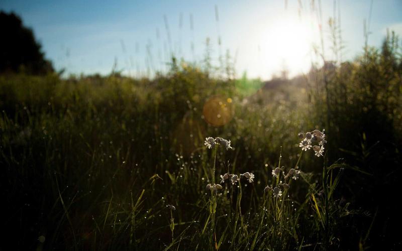 Dummy Klinik Istanbul #7 klinik fotoğrafı